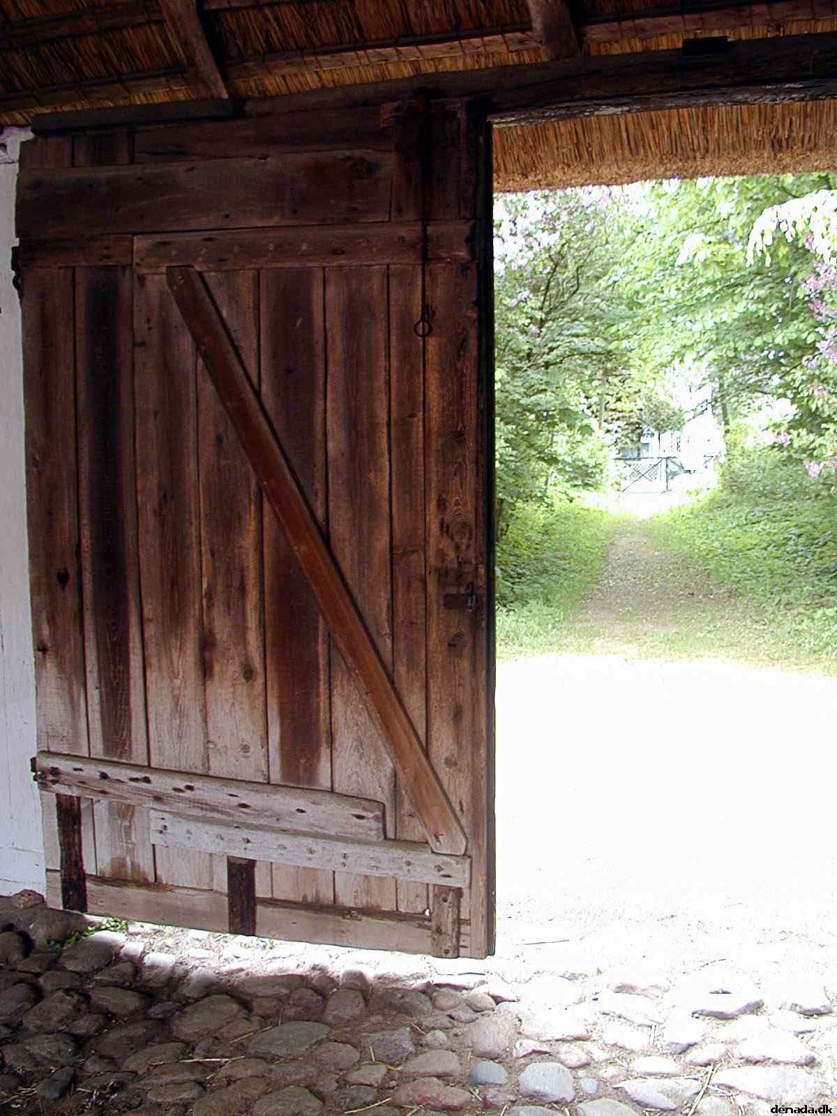 * Image 13