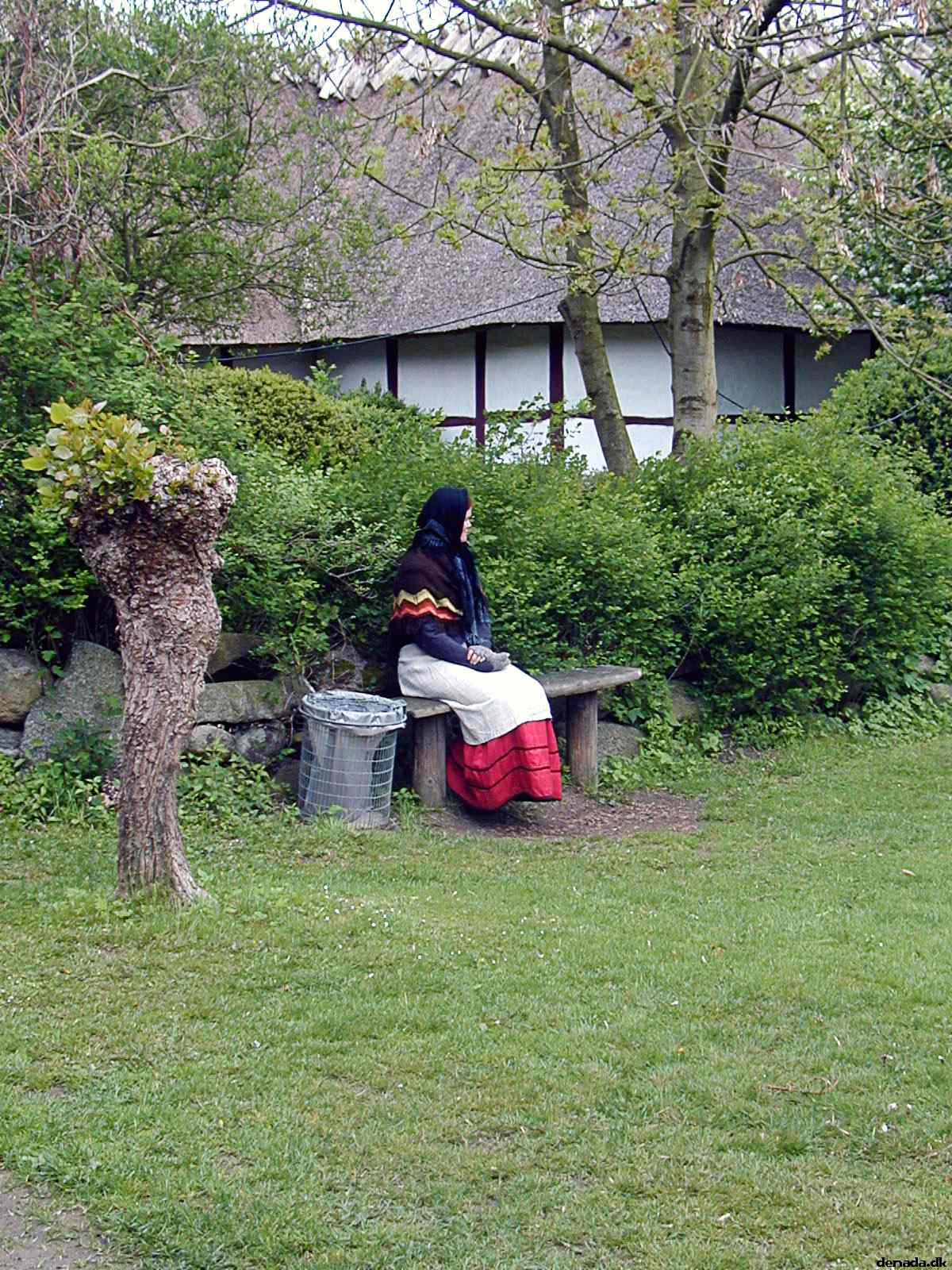 * Image 23