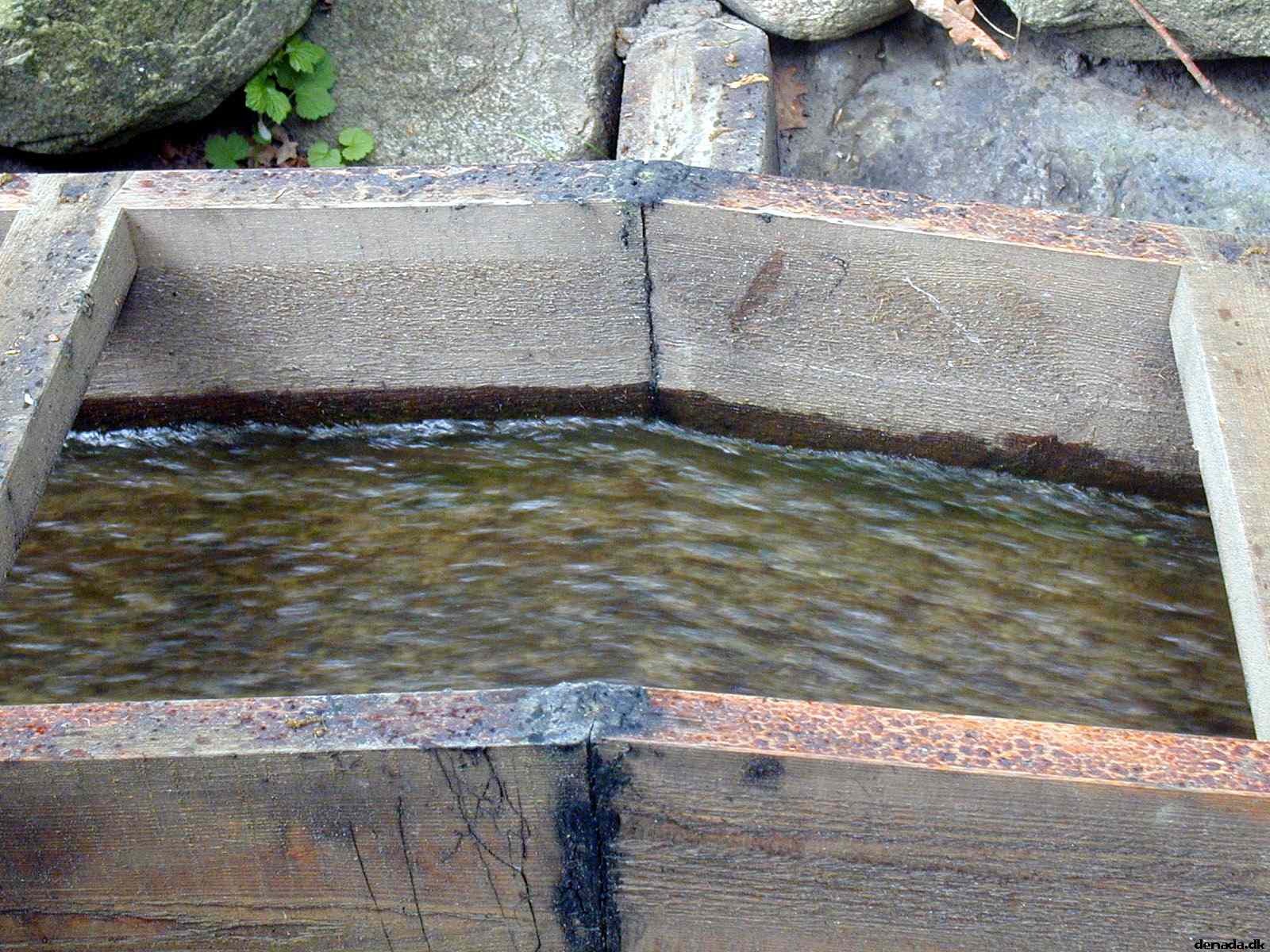 * Image 27
