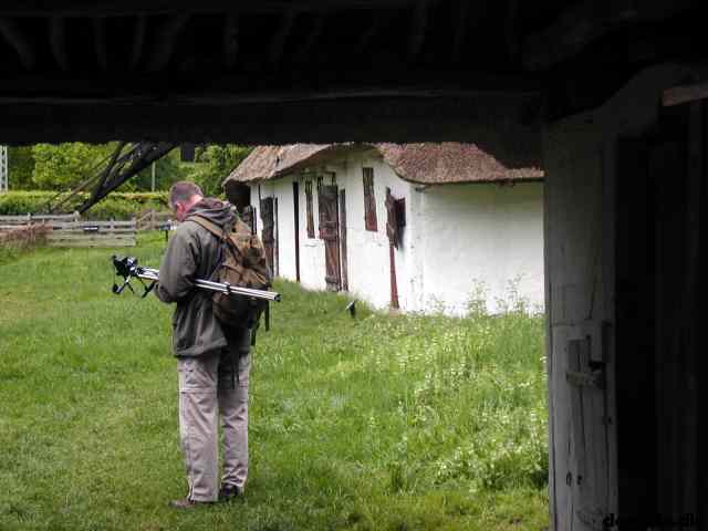 * Image 8