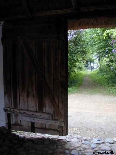 * Image 12