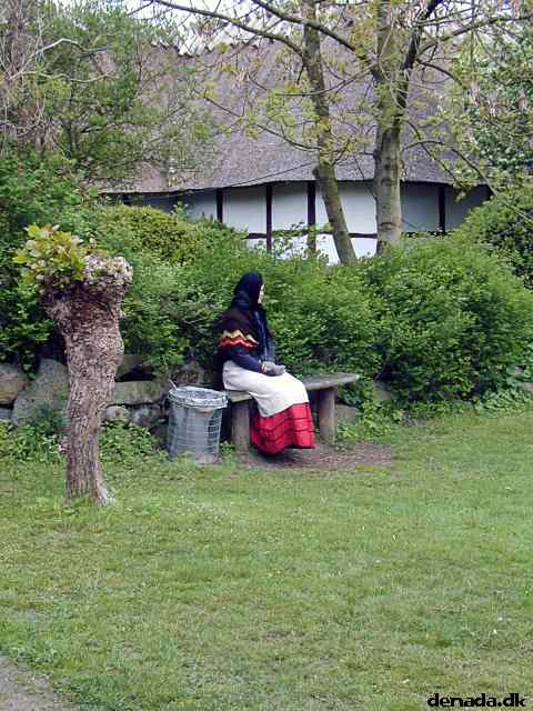 * Image 23