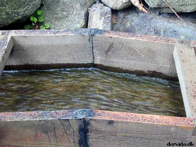 * Image 25