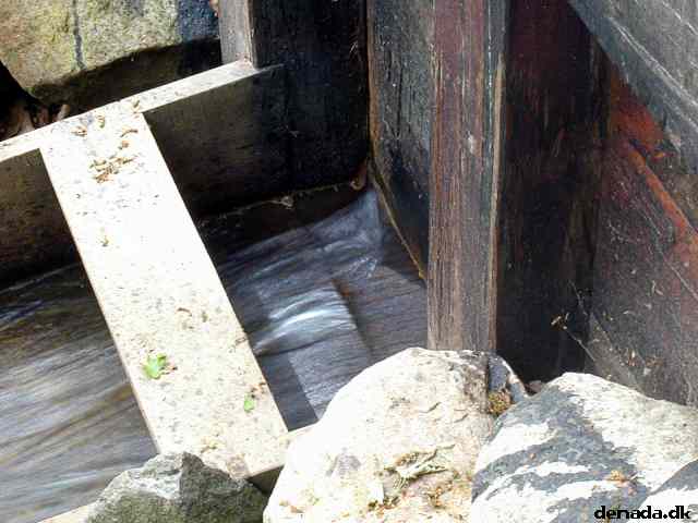 * Image 29