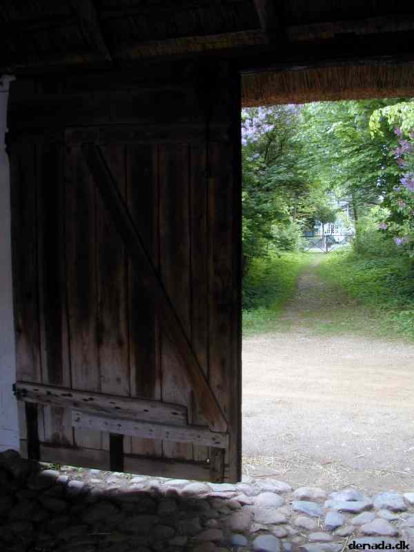 * Image 12