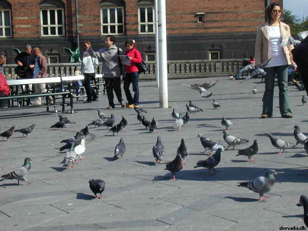 * Image 12