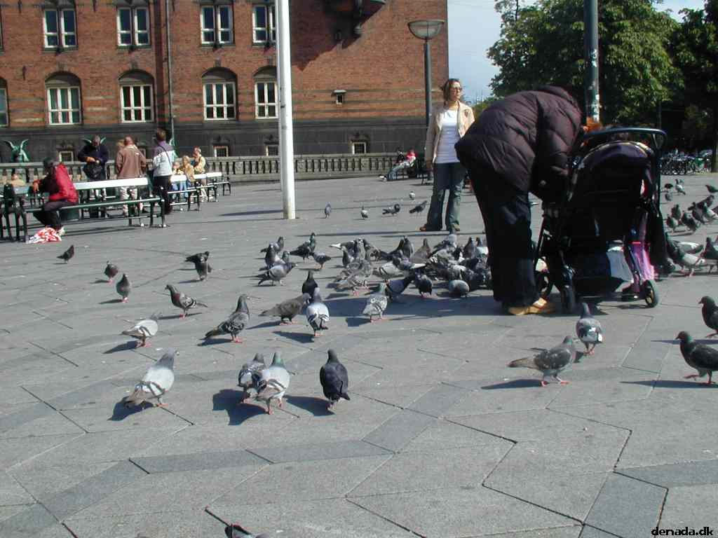 * Image 13
