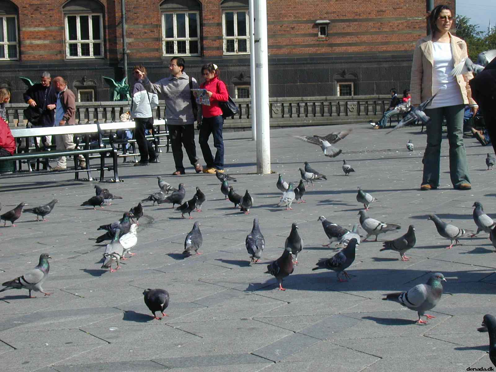 * Image 12