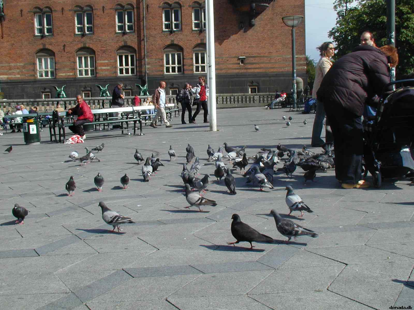 * Image 14