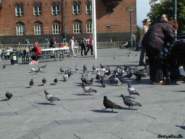 * Image 14