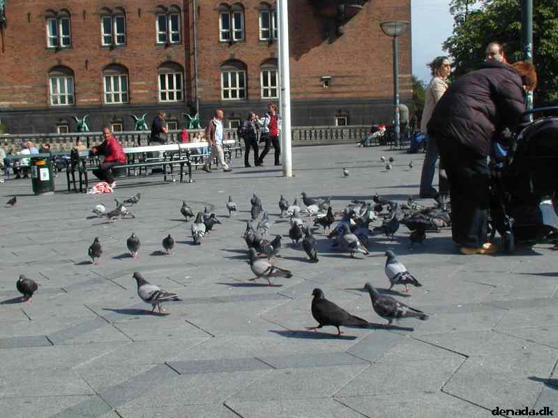 * Image 14