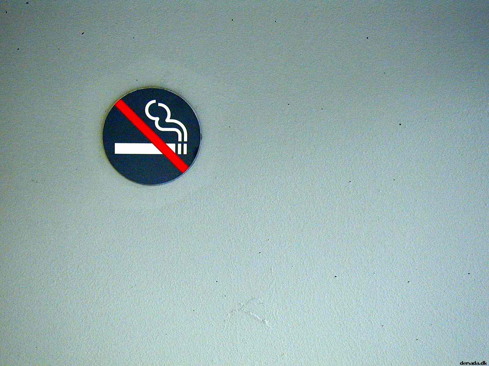 * Image 7
