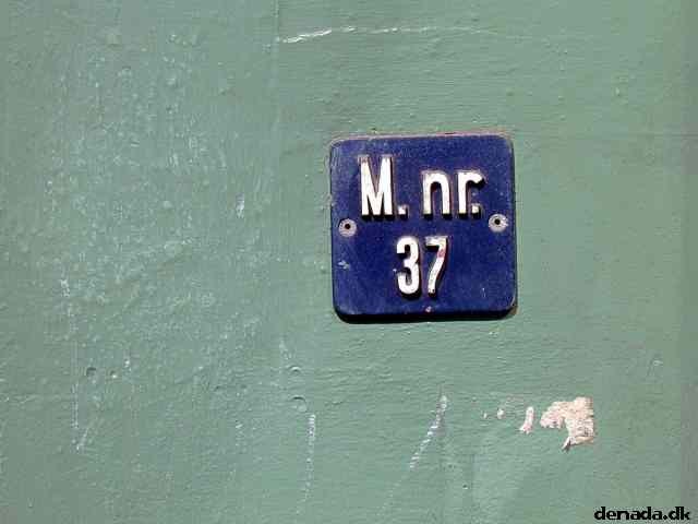 * Image 3