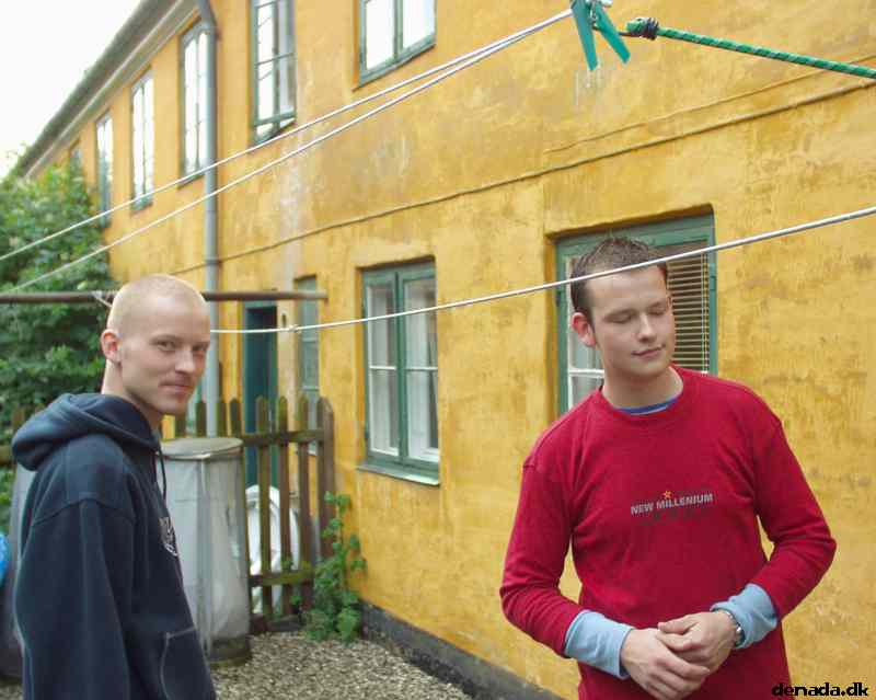 * Image 2
