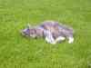 2004_07_19-17_44_41.jpg - 2004:07:19 17:44:41