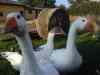 2004_07_19-19_51_04.jpg - 2004:07:19 19:51:04