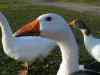 2004_07_19-19_52_46.jpg - 2004:07:19 19:52:46