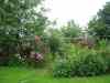 IMG_0002.JPG - 2004:07:20 17:14:39