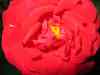 IMG_0007.JPG - 2004:07:20 17:18:01