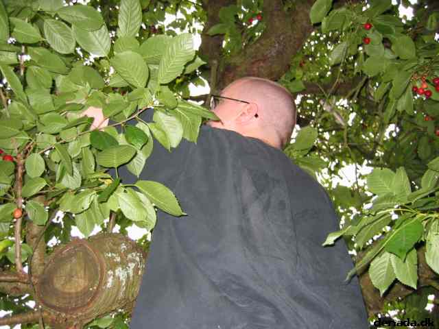 * Image 5