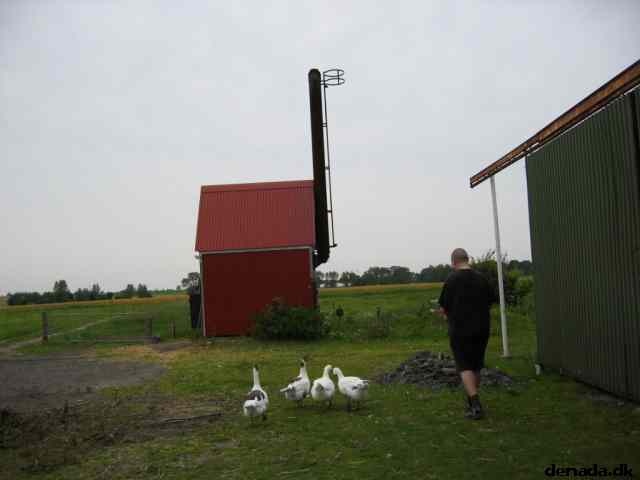 * Image 9