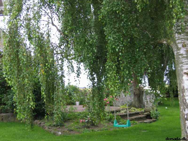 * Image 3