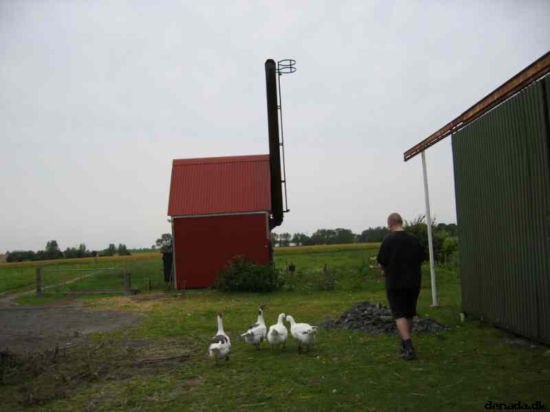 * Image 9