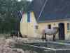 IMG_0054.JPG - 2004:07:21 17:32:28