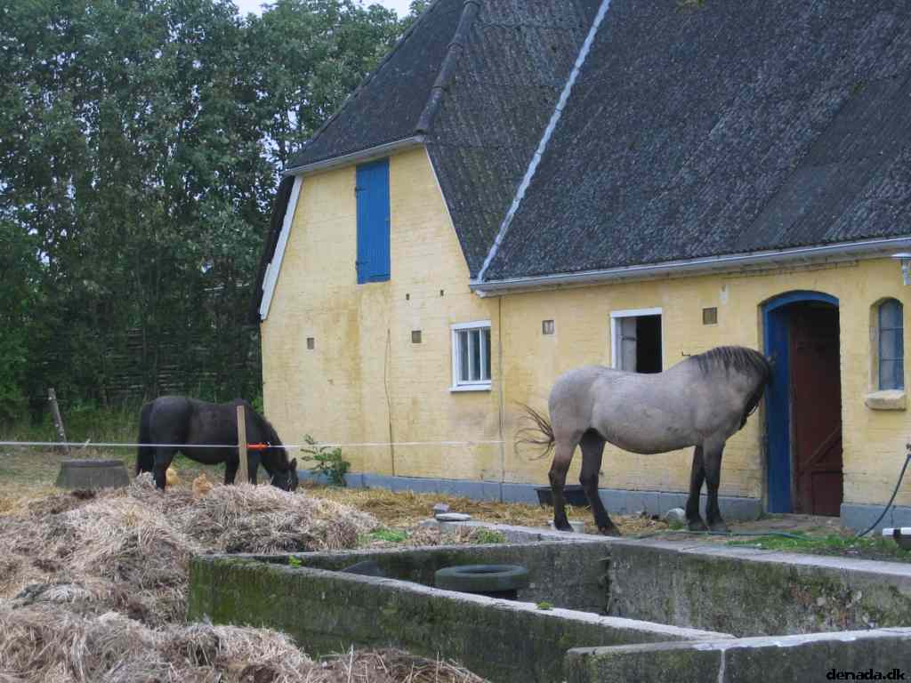 * Image 26