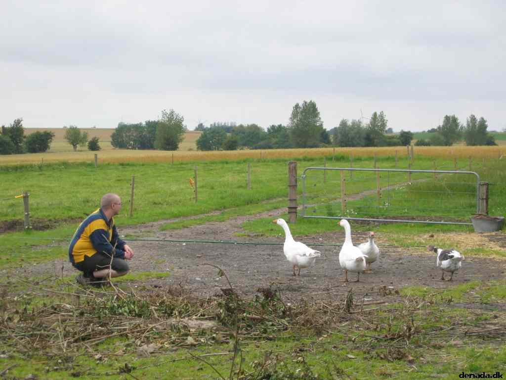 * Image 28