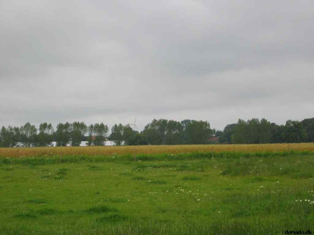 * Image 29