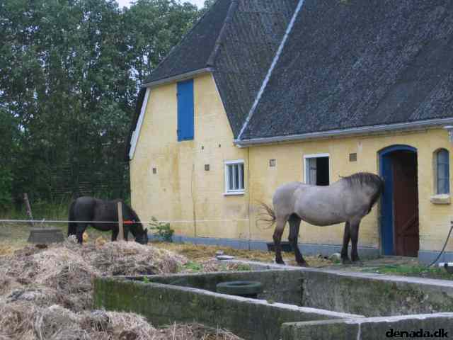 * Image 26