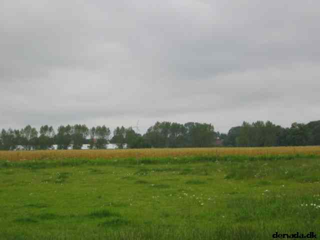 * Image 29