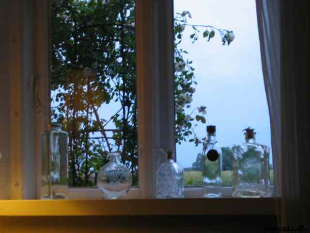 * Image 34