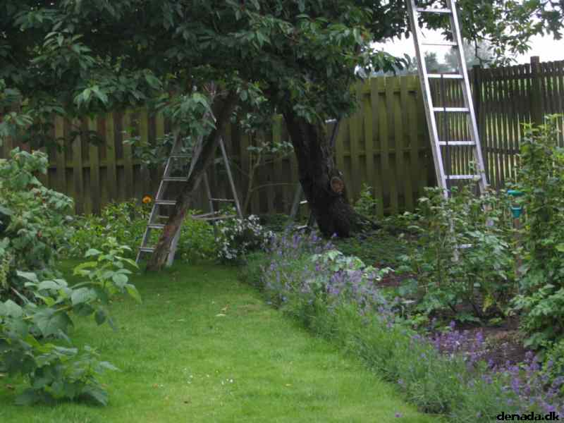 * Image 22