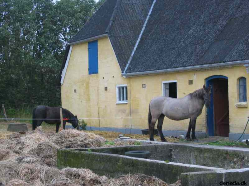 * Image 27