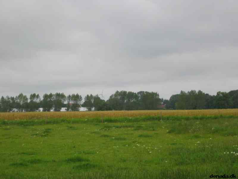 * Image 29