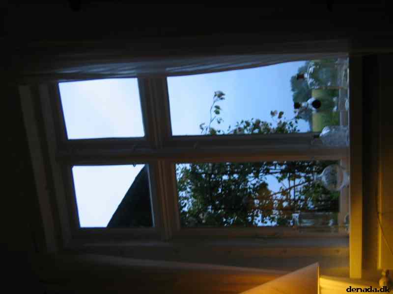 * Image 33