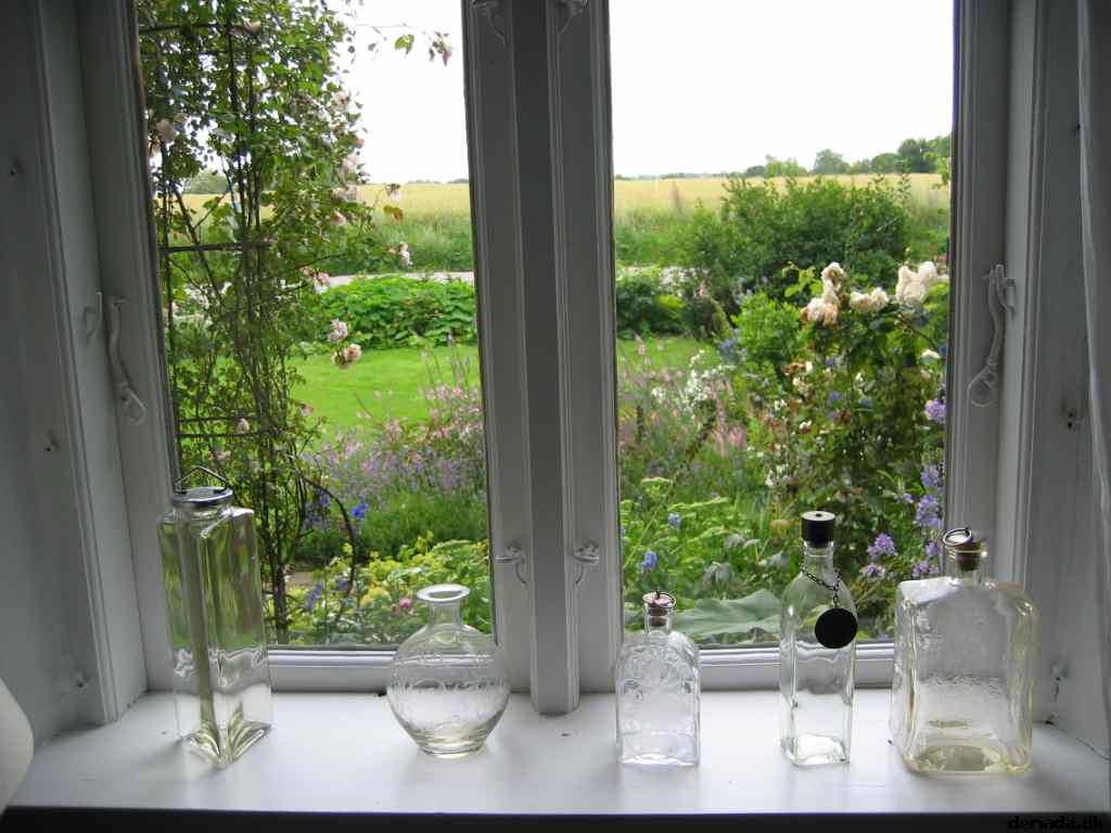 * Image 1