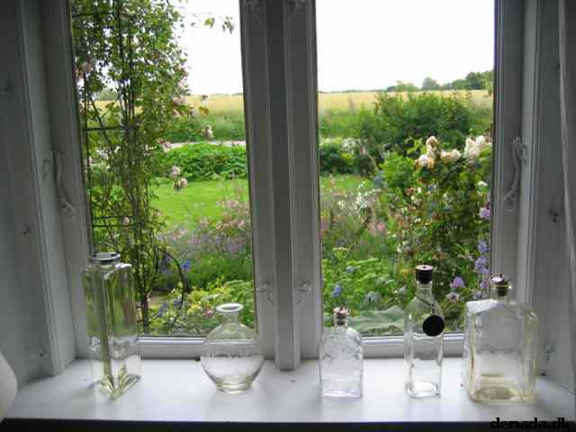 * Image 1