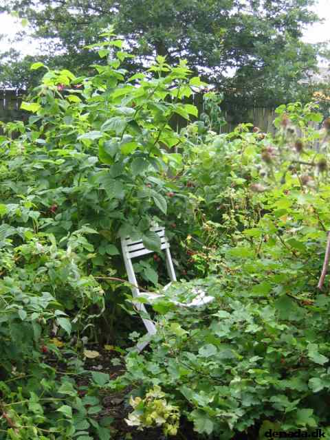 * Image 22