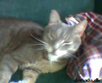 * Image 39