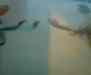 Billede005.jpg - 