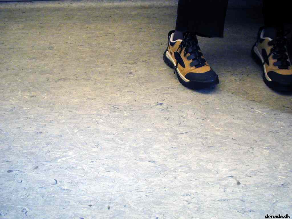 * Image 7