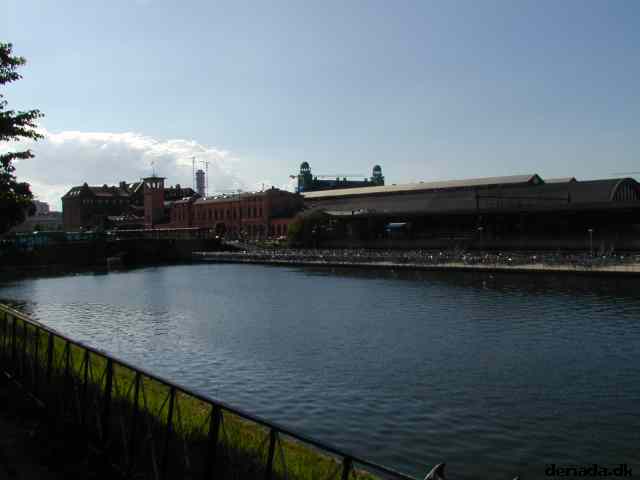 * Image 12