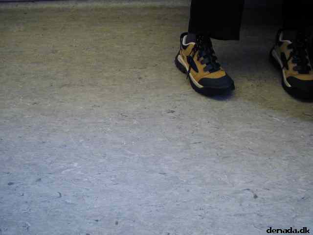 * Image 23