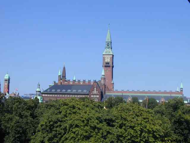 * Image 8