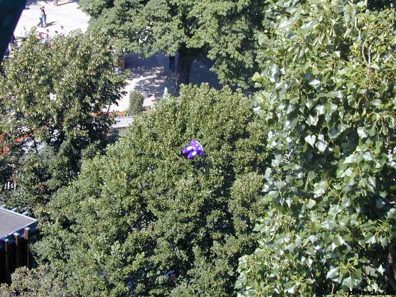 * Image 14