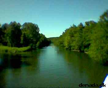 * Image 5