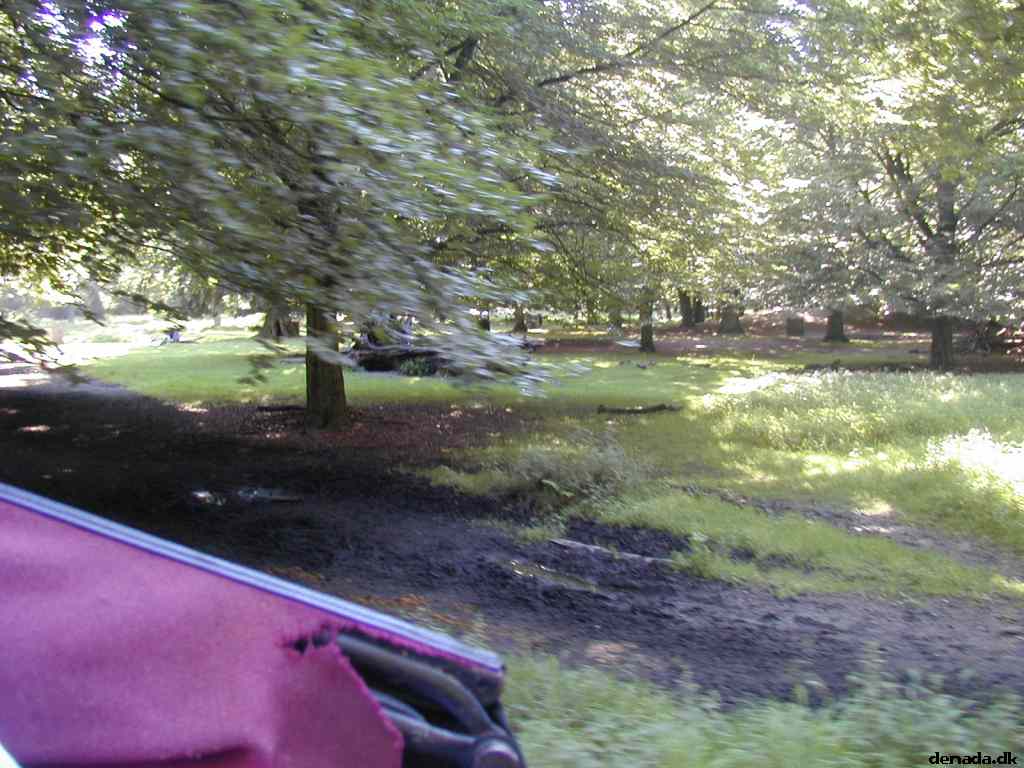 * Image 7